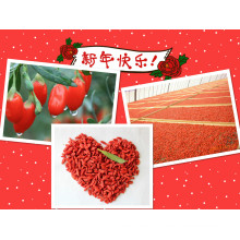 Fruta Seca ISO 9001 - Goji Berry